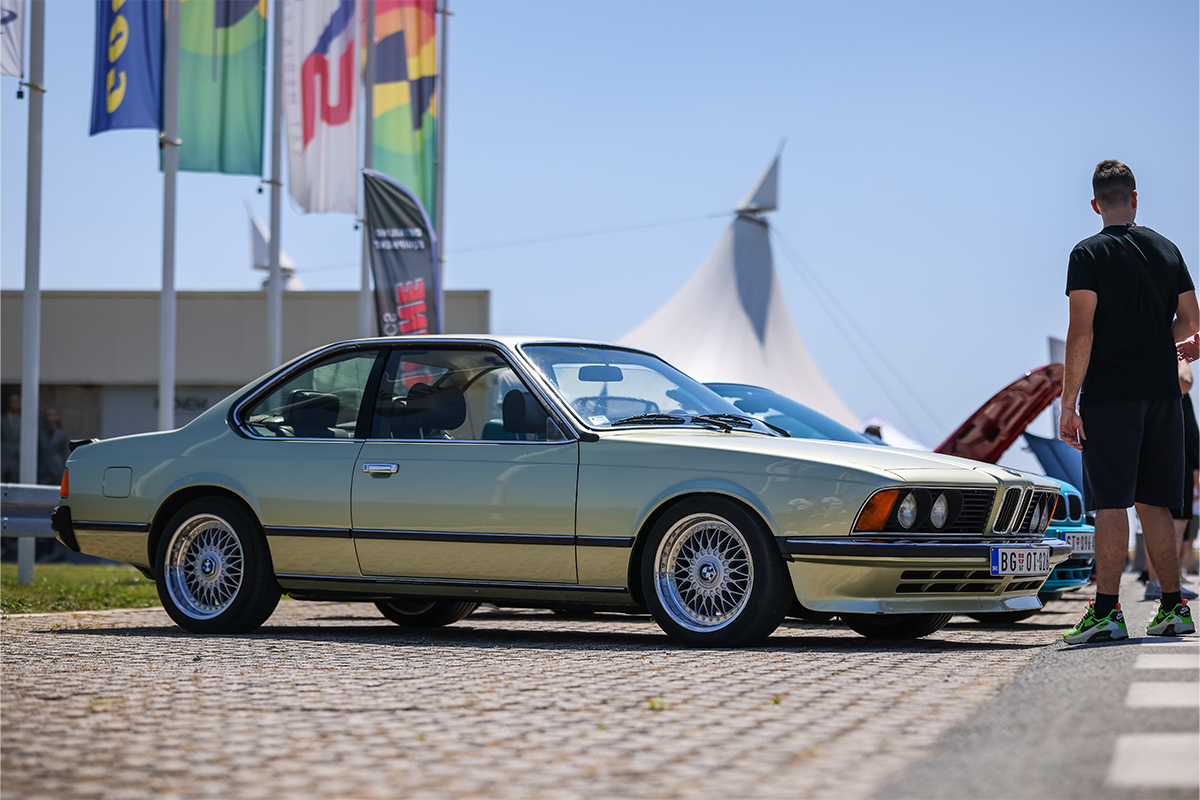 BMW-M30-motor-03 BMW M30 motor